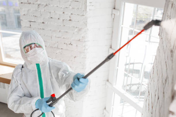 Best Mold Prevention Services  in Louisville, NE